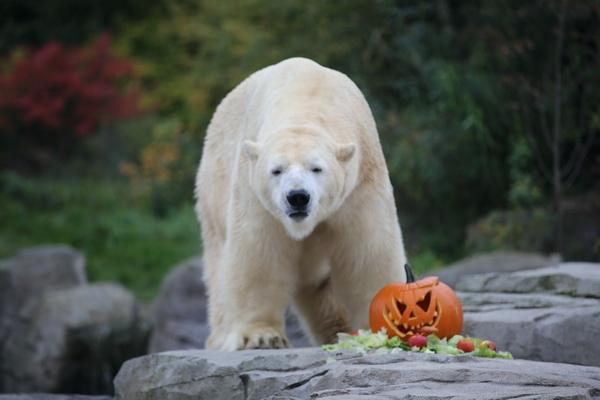 2015-10-22 06-27-21.JPG